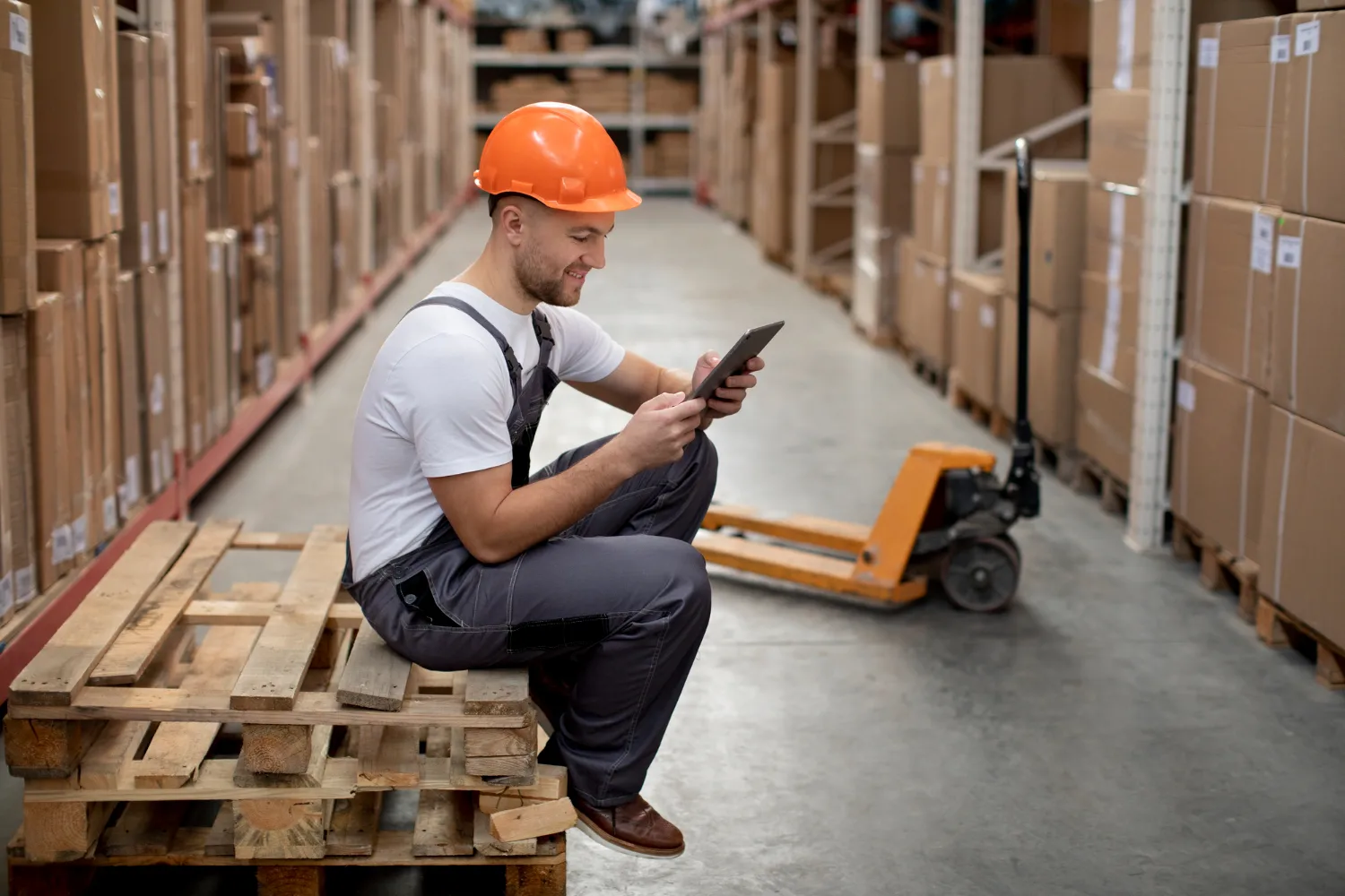 ASRS PALLET MANUFACTURER IN INDIA